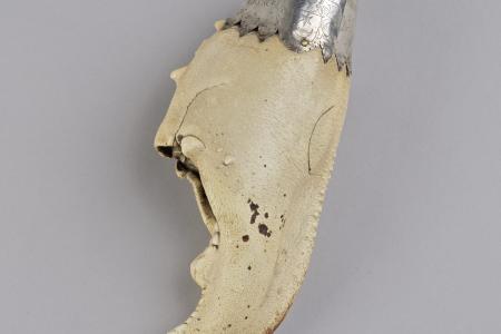 Onbekend, kreeftenschaar De Roode Roos, 1657, zilver en organisch materiaal