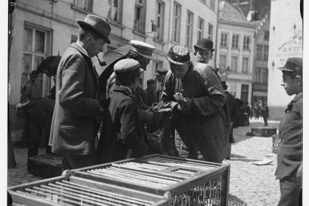 Een poelier op de Poeljemarkt