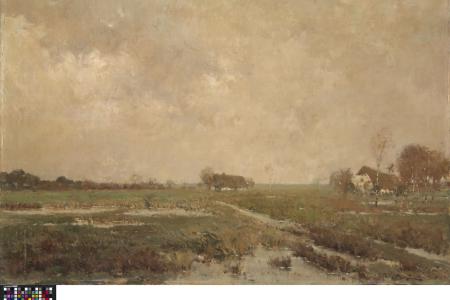 Landschap in de Kempen