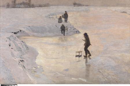 De ijsvogels