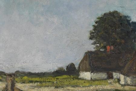 Kempens landschap met vlondertje