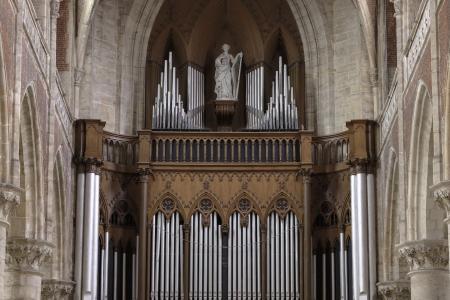 Orgel