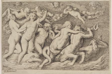 Venus uit de zee opstijgende